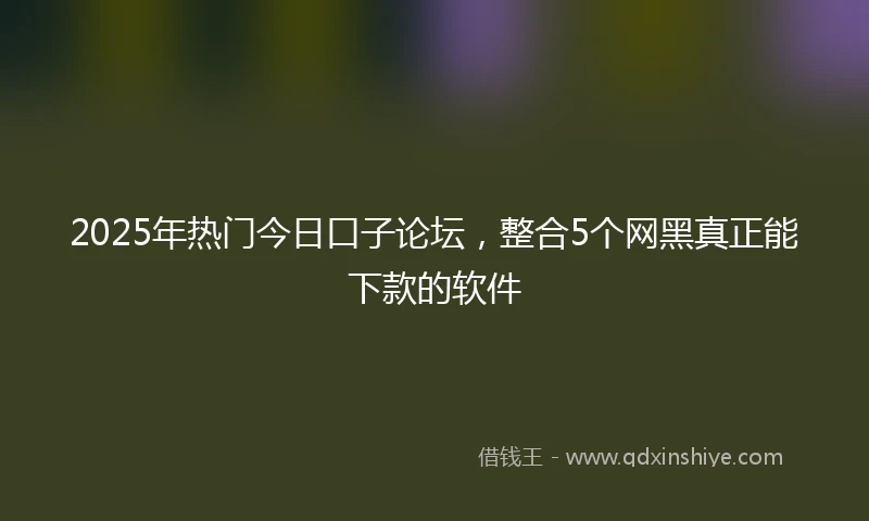 2025年热门今日口子论坛，整合5个网黑真正能下款的软件