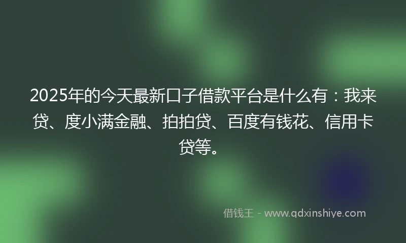 2025年的今天最新口子借款平台是什么有:我来贷、度小满金融、拍拍贷、百度有钱花、信用卡贷等。