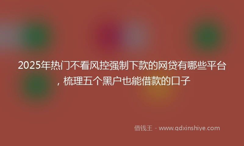 2025年热门不看风控强制下款的网贷有哪些平台,梳理五个黑户也能借款的口子