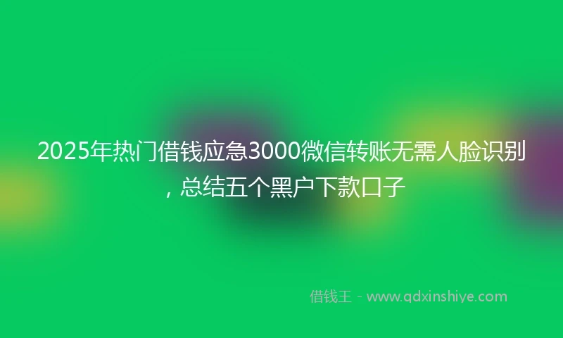 2025年热门借钱应急3000微信转账无需人脸识别，总结五个黑户下款口子