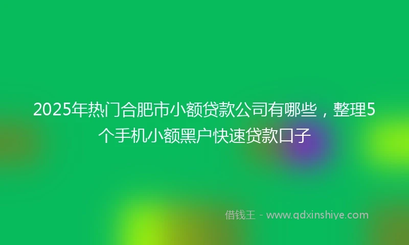 2025年热门合肥市小额贷款公司有哪些，整理5个手机小额黑户快速贷款口子