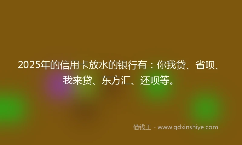 2025年的信用卡放水的银行有：你我贷、省呗、我来贷、东方汇、还呗等。
