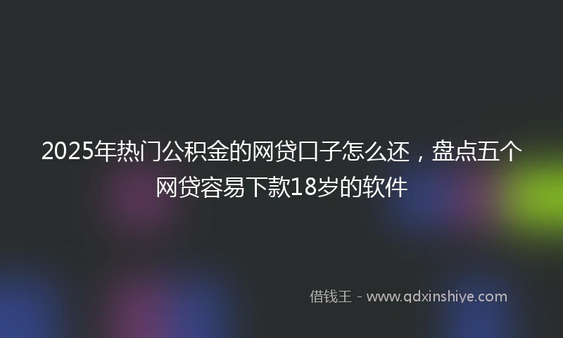 2025年热门公积金的网贷口子怎么还，盘点五个网贷容易下款18岁的软件