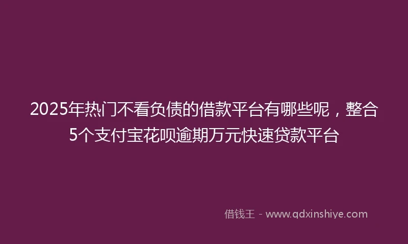 2025年热门不看负债的借款平台有哪些呢，整合5个支付宝花呗逾期万元快速贷款平台
