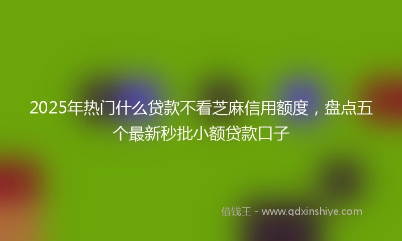 2025年热门什么贷款不看芝麻信用额度，盘点五个最新秒批小额贷款口子