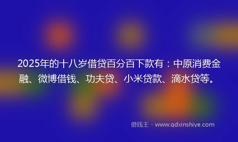 2025年的十八岁借贷百分百下款有：中原消费金融、微博借钱、功夫贷、小米贷款、滴水贷等。