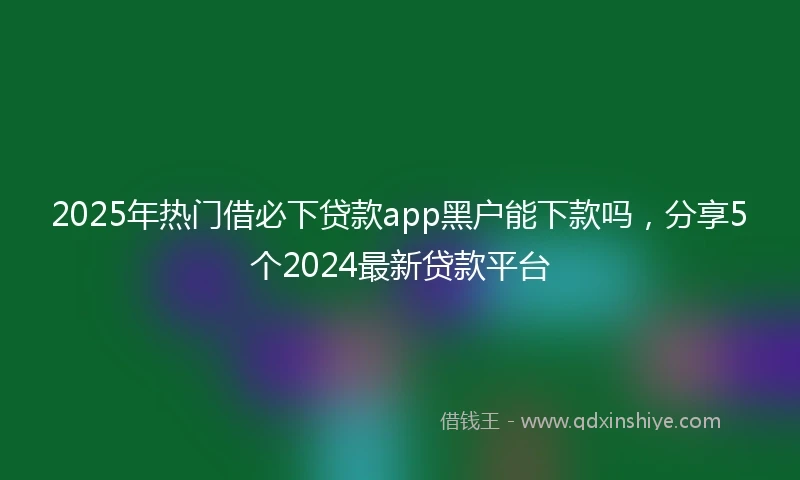 2025年热门借必下贷款app黑户能下款吗，分享5个2024最新贷款平台