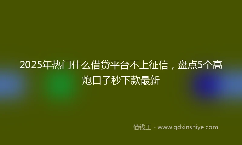 2025年热门什么借贷平台不上征信，盘点5个高炮口子秒下款最新