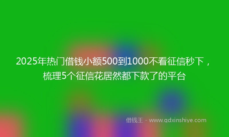 2025年热门借钱小额500到1000不看征信秒下，梳理5个征信花居然都下款了的平台