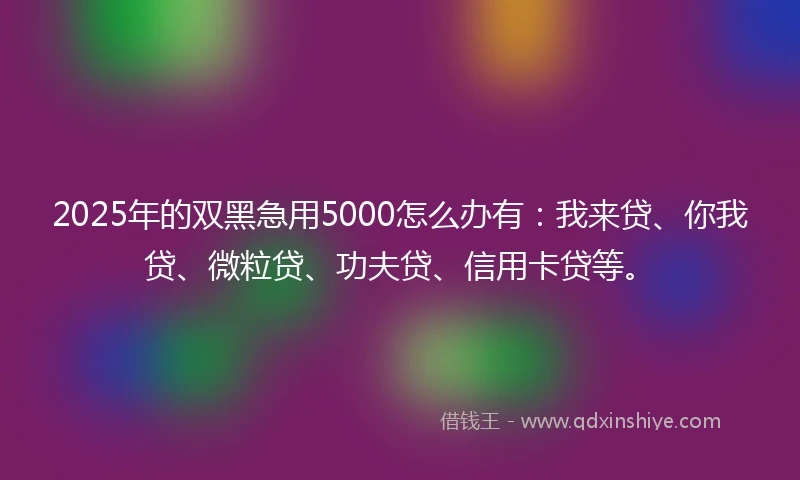 2025年的双黑急用5000怎么办有：我来贷、你我贷、微粒贷、功夫贷、信用卡贷等。