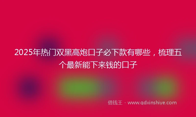 2025年热门双黑高炮口子必下款有哪些,梳理五个最新能下来钱的口子