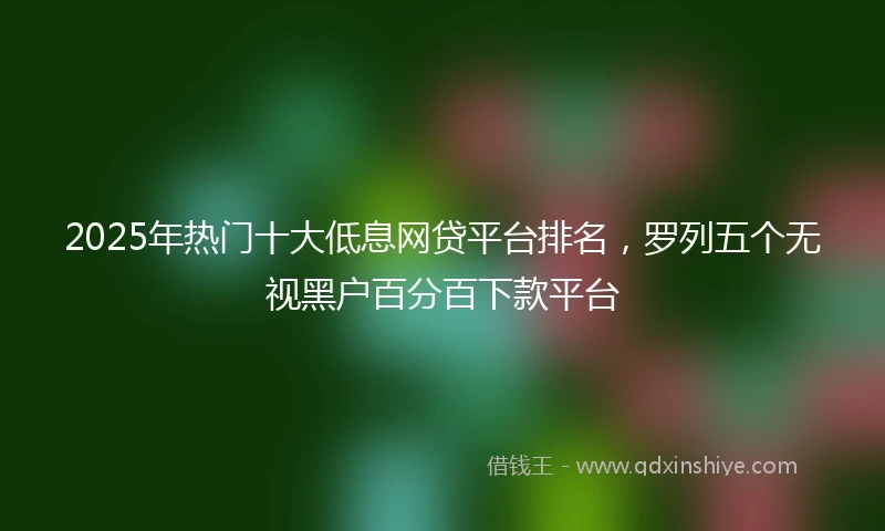 2025年热门十大低息网贷平台排名，罗列五个无视黑户百分百下款平台