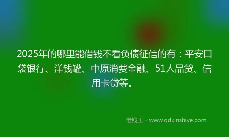 2025年的哪里能借钱不看负债征信的有：平安口袋银行、洋钱罐、中原消费金融、51人品贷、信用卡贷等。