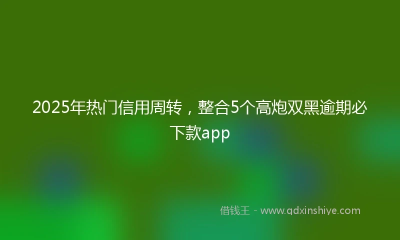 2025年热门信用周转，整合5个高炮双黑逾期必下款app