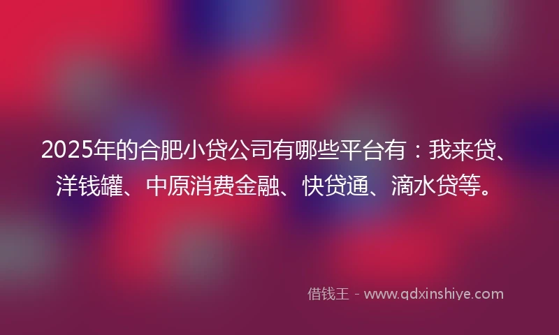 2025年的合肥小贷公司有哪些平台有：我来贷、洋钱罐、中原消费金融、快贷通、滴水贷等。