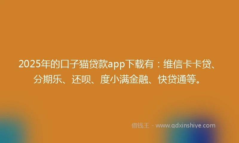 2025年的口子猫贷款app下载有：维信卡卡贷、分期乐、还呗、度小满金融、快贷通等。