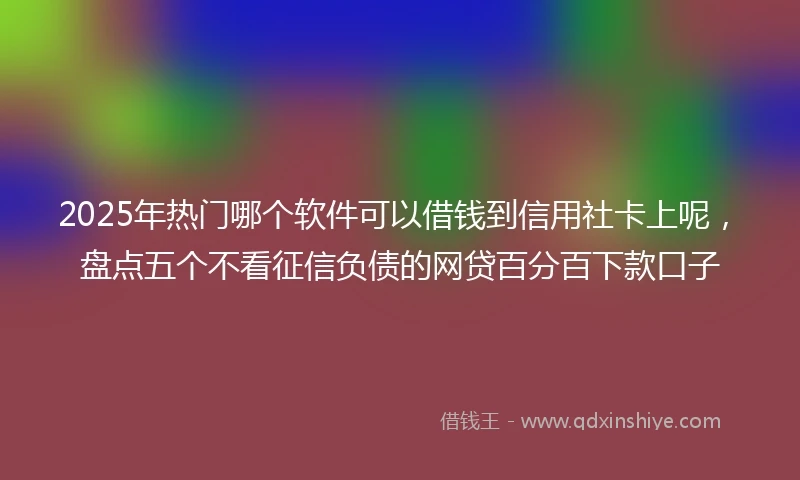 2025年热门哪个软件可以借钱到信用社卡上呢，盘点五个不看征信负债的网贷百分百下款口子