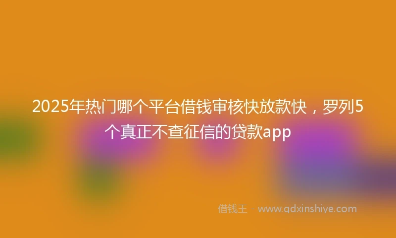 2025年热门哪个平台借钱审核快放款快，罗列5个真正不查征信的贷款app