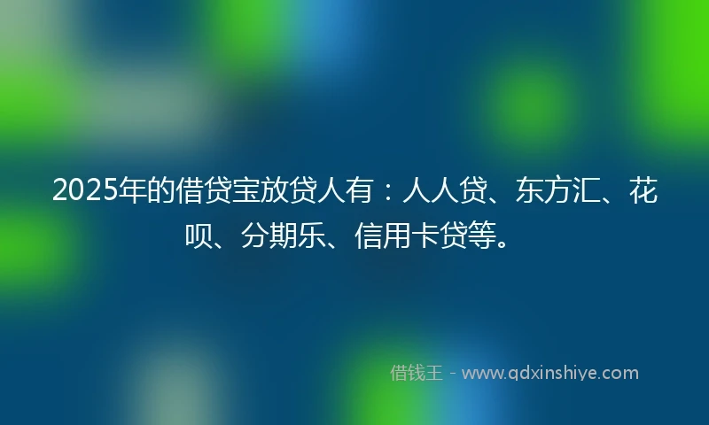 2025年的借贷宝放贷人有：人人贷、东方汇、花呗、分期乐、信用卡贷等。