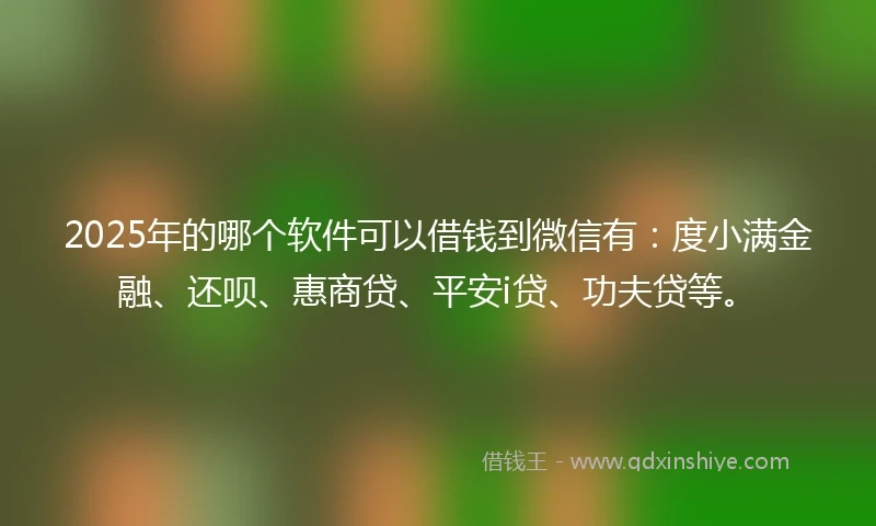 2025年的哪个软件可以借钱到微信有：度小满金融、还呗、惠商贷、平安i贷、功夫贷等。