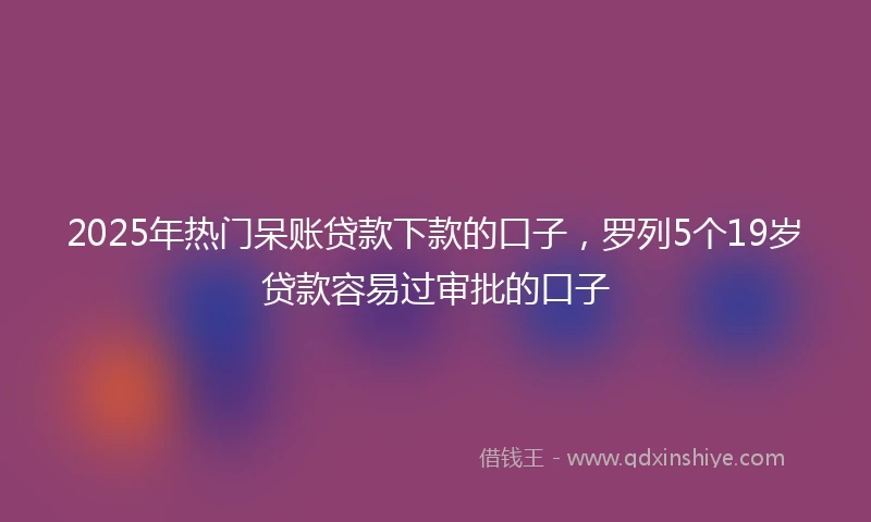 2025年热门呆账贷款下款的口子，罗列5个19岁贷款容易过审批的口子