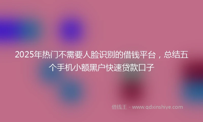 2025年热门不需要人脸识别的借钱平台，总结五个手机小额黑户快速贷款口子
