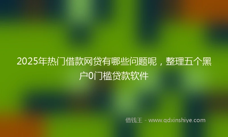 2025年热门借款网贷有哪些问题呢，整理五个黑户0门槛贷款软件