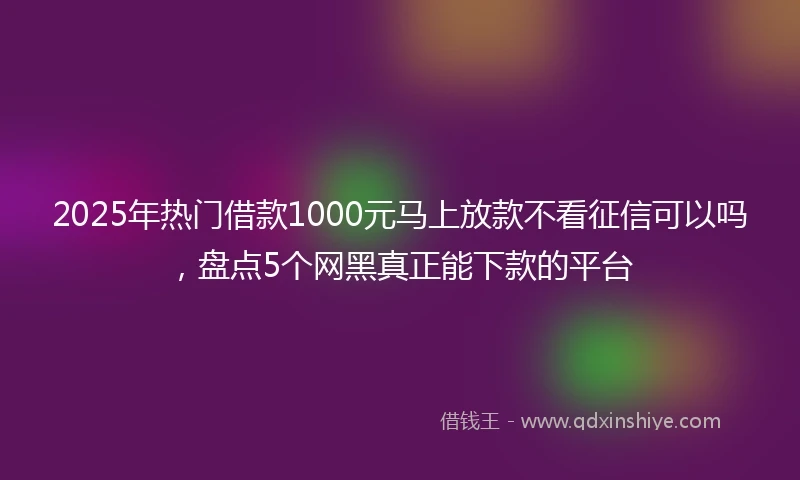 2025年热门借款1000元马上放款不看征信可以吗，盘点5个网黑真正能下款的平台