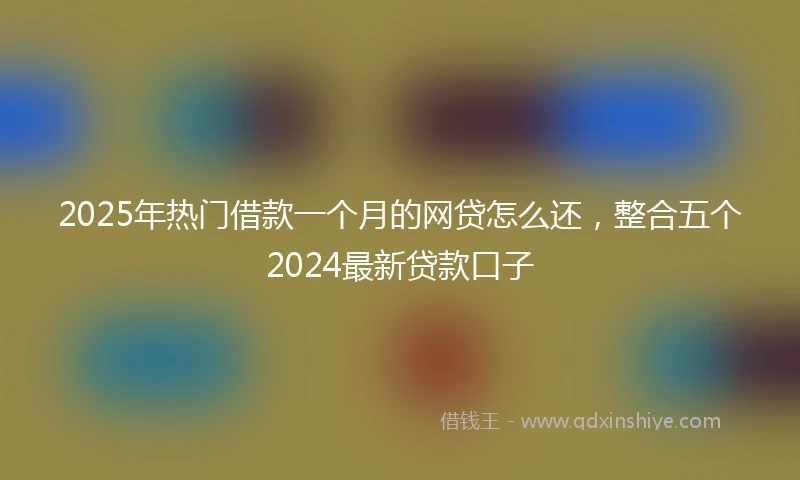 2025年热门借款一个月的网贷怎么还，整合五个2024最新贷款口子