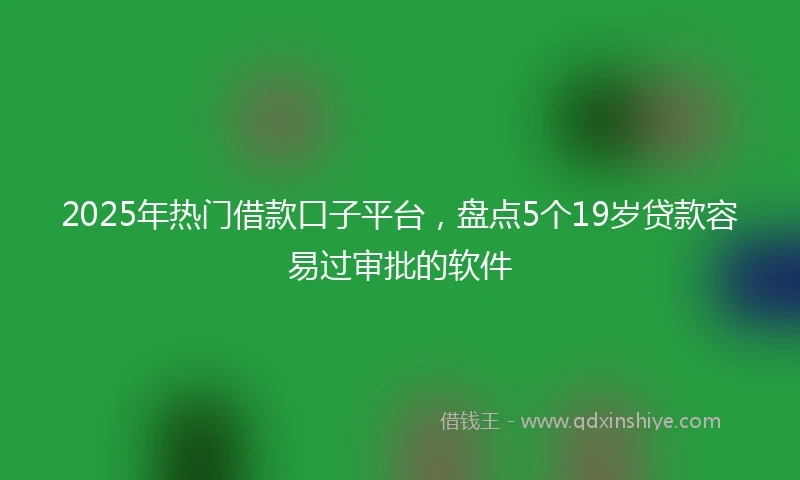 2025年热门借款口子平台，盘点5个19岁贷款容易过审批的软件