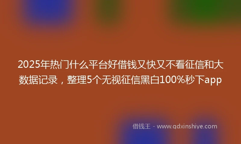 2025年热门什么平台好借钱又快又不看征信和大数据记录，整理5个无视征信黑白100%秒下app