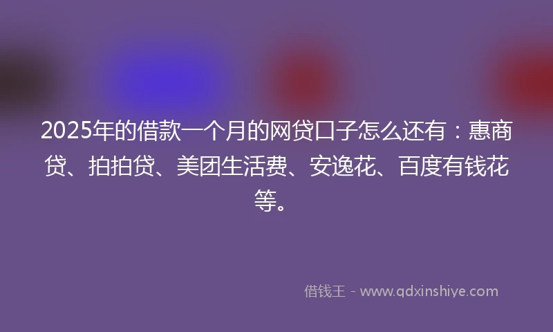 2025年的借款一个月的网贷口子怎么还有：惠商贷、拍拍贷、美团生活费、安逸花、百度有钱花等。