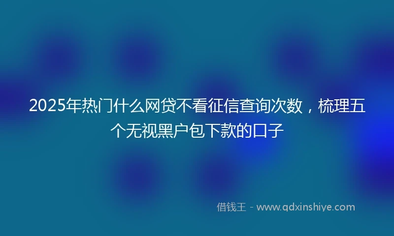 2025年热门什么网贷不看征信查询次数，梳理五个无视黑户包下款的口子