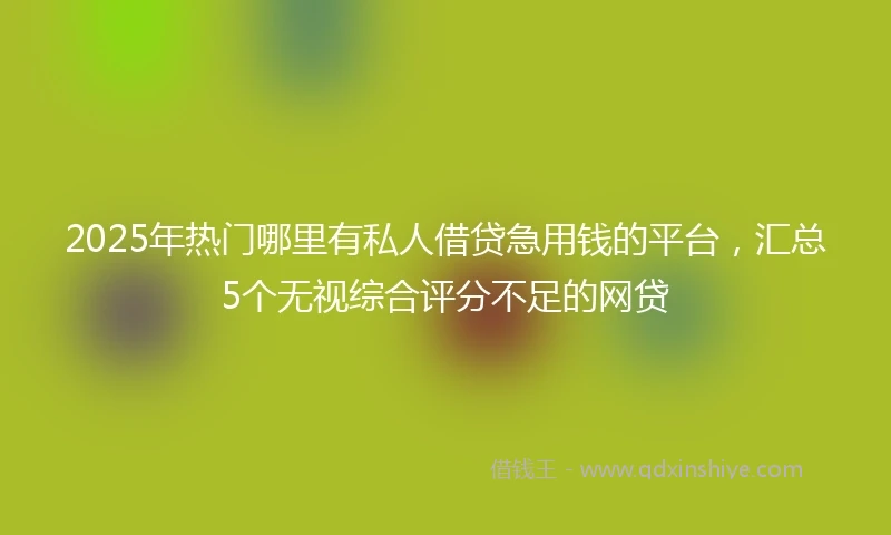 2025年热门哪里有私人借贷急用钱的平台，汇总5个无视综合评分不足的网贷