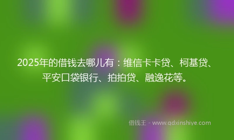 2025年的借钱去哪儿有：维信卡卡贷、柯基贷、平安口袋银行、拍拍贷、融逸花等。