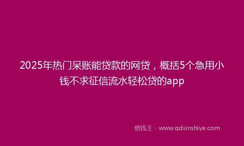 2025年热门呆账能贷款的网贷，概括5个急用小钱不求征信流水轻松贷的app