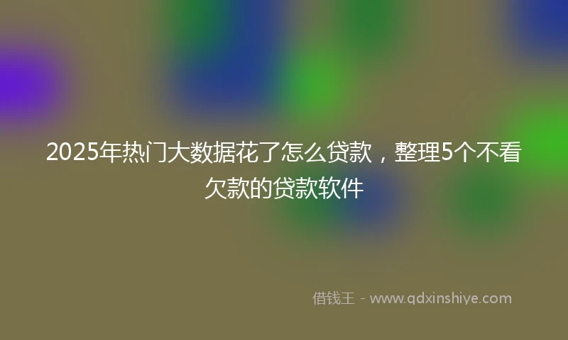 2025年热门大数据花了怎么贷款，整理5个不看欠款的贷款软件