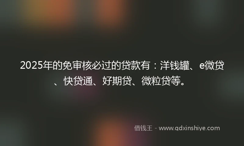 2025年的免审核必过的贷款有：洋钱罐、e微贷、快贷通、好期贷、微粒贷等。