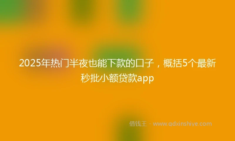2025年热门半夜也能下款的口子,概括5个最新秒批小额贷款app