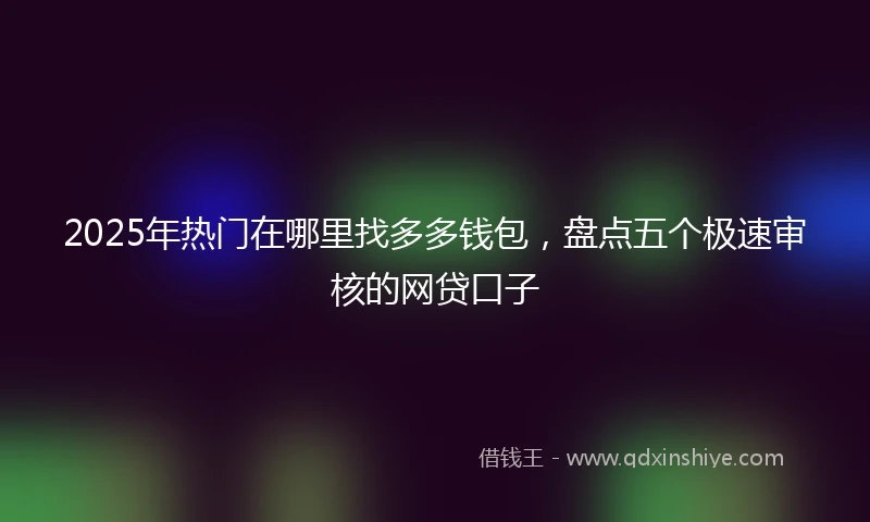 2025年热门在哪里找多多钱包,盘点五个极速审核的网贷口子