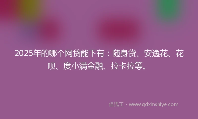 2025年的哪个网贷能下有：随身贷、安逸花、花呗、度小满金融、拉卡拉等。