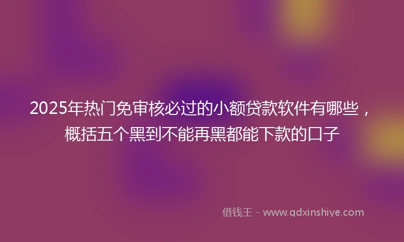 2025年热门免审核必过的小额贷款软件有哪些，概括五个黑到不能再黑都能下款的口子