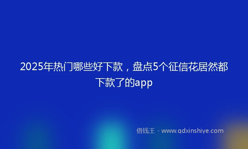 2025年热门哪些好下款，盘点5个征信花居然都下款了的app