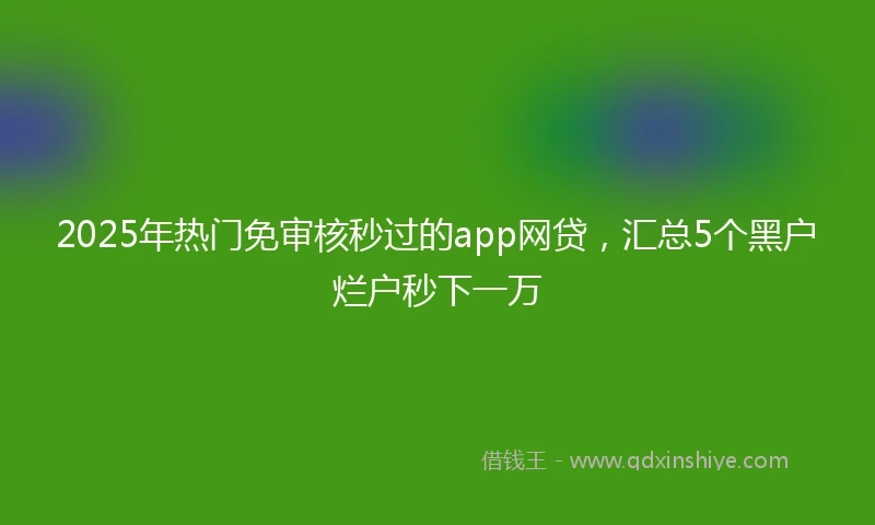 2025年热门免审核秒过的app网贷，汇总5个黑户烂户秒下一万