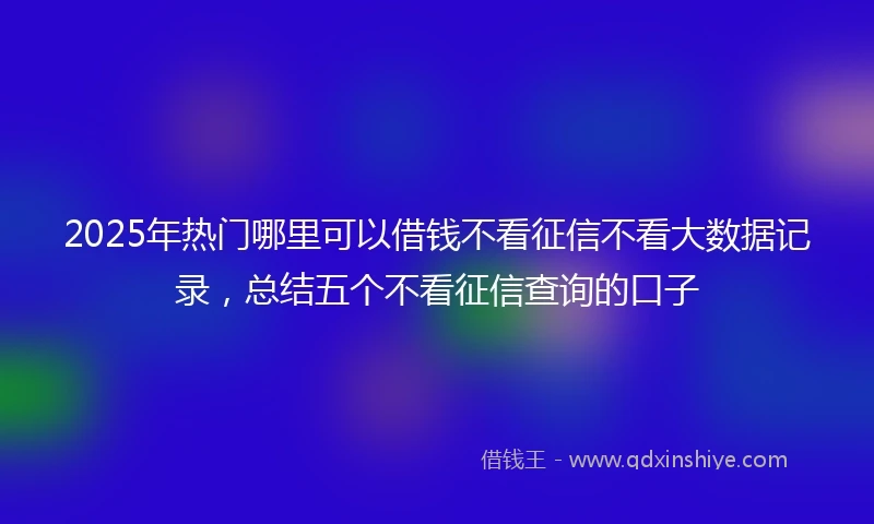 2025年热门哪里可以借钱不看征信不看大数据记录，总结五个不看征信查询的口子
