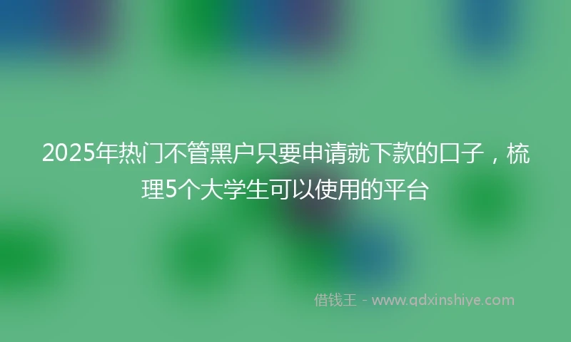 2025年热门不管黑户只要申请就下款的口子,梳理5个大学生可以使用的平台