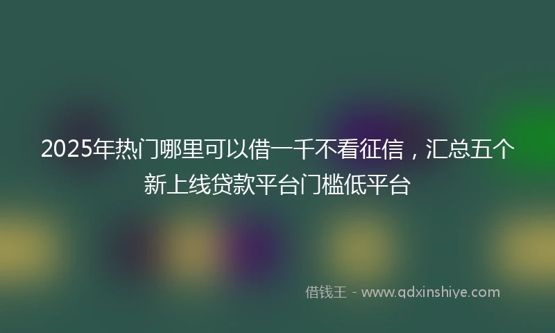 2025年热门哪里可以借一千不看征信，汇总五个新上线贷款平台门槛低平台