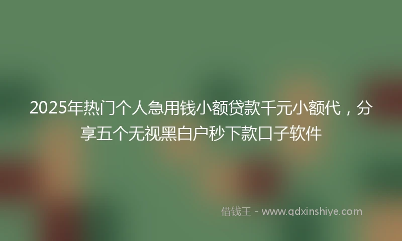 2025年热门个人急用钱小额贷款千元小额代,分享五个无视黑白户秒下款口子软件