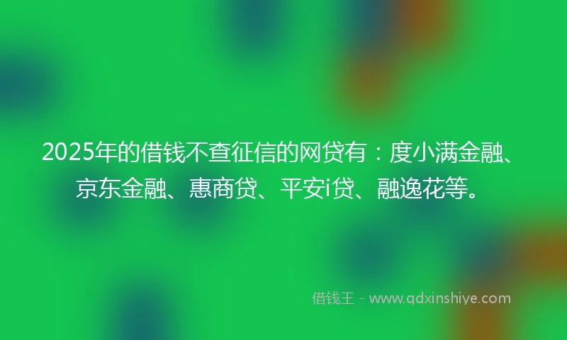 2025年的借钱不查征信的网贷有：度小满金融、京东金融、惠商贷、平安i贷、融逸花等。
