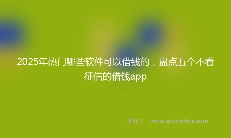 2025年热门哪些软件可以借钱的，盘点五个不看征信的借钱app